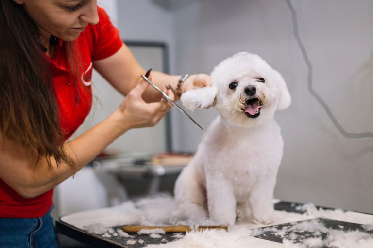 6 Ways Grooming Helps Maintain Pet Hygiene